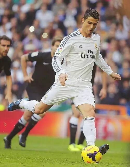 青酒则通过 青酒则通过